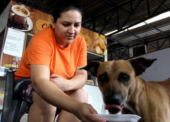 PROJETO DE LEI DO VEREADOR ELOI ABREU (PHS) DISPOE SOBRE A PROMOCAO DE VALORIZACAO DOS PROTETORTES E CUIDADORES DE ANIMAIS ABANDONADOS. FOTO: ROBERVALDO ROCHA / CMM