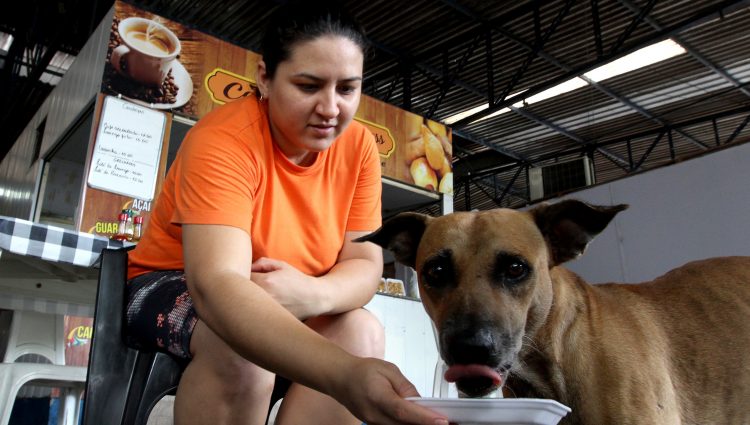 PROJETO DE LEI DO VEREADOR ELOI ABREU (PHS) DISPOE SOBRE A PROMOCAO DE VALORIZACAO DOS PROTETORTES E CUIDADORES DE ANIMAIS ABANDONADOS. FOTO: ROBERVALDO ROCHA / CMM
