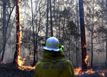 Incêndios na Austrália Foto: Reprodução Twitter
