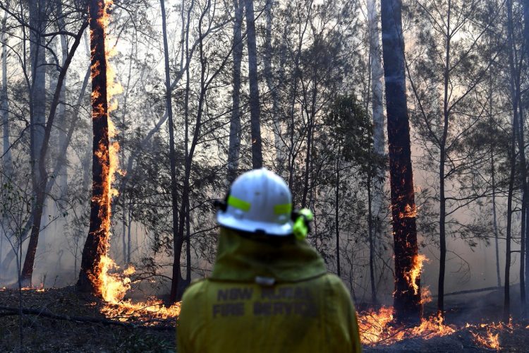 Incêndios na Austrália Foto: Reprodução Twitter