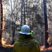 Incêndios na Austrália Foto: Reprodução Twitter