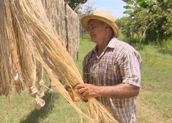 Foto: Divulgação/Fapeam