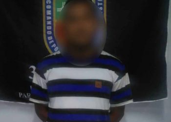 FOTO: Divulgação/PMAM