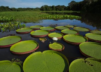 Foto: Lalo de Almeida / Folhapress