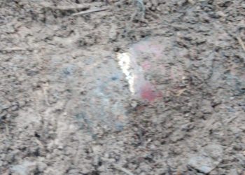 Corpo encontrado em Mata fechada, no bairro União da Vitória Foto: Marcos Paulo Holanda