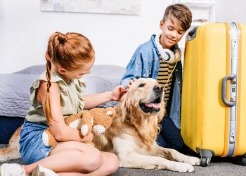 Crianças e Pets Foto: bedroom with yellow suitcase for trip