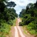 Estrada que leva ao distrito de Guariba e marca o limite da Terra Indígena Kawahiva do Rio Pardo. Foto: Marcelo Camargo/Agência Brasil