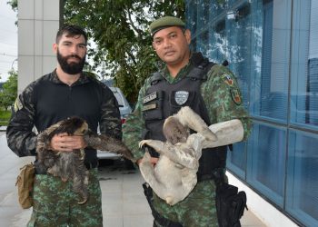 FOTOS: Carlos Soares/SSP-AM