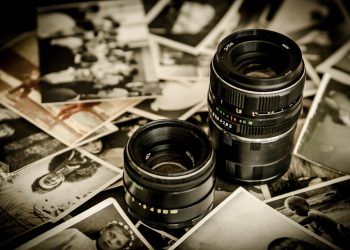 Dia do Fotógrafo Foto:  Michal Jarmoluk por Pixabay