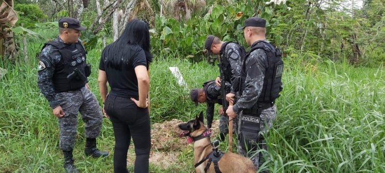 FOTO: DIVULGAÇÃO/PMAM