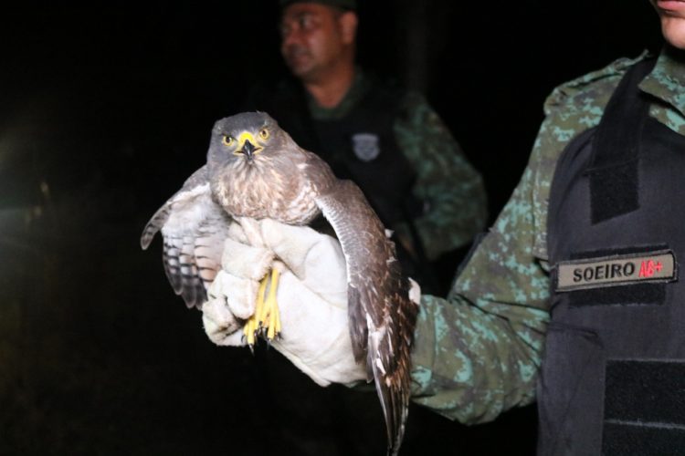 FOTOS: Divulgação e Tabajara Moreno/SSP-AM