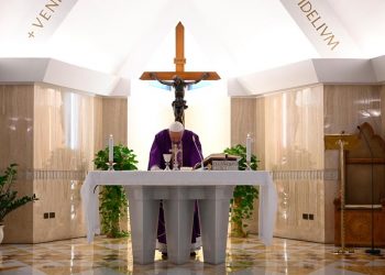 Papa Francisco Foto- Vatican News