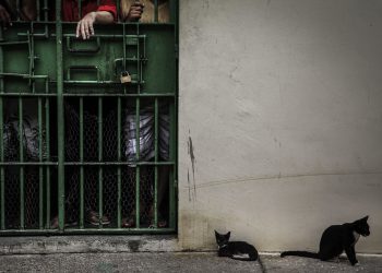 Complexo Penitenciário Anísio Jobim (COMPAJ), localizado na rodovia BR-174. Foto: Raphael Alves