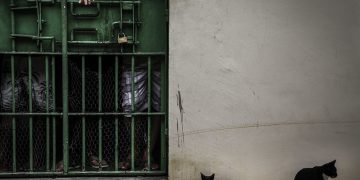 Complexo Penitenciário Anísio Jobim (COMPAJ), localizado na rodovia BR-174. Foto: Raphael Alves