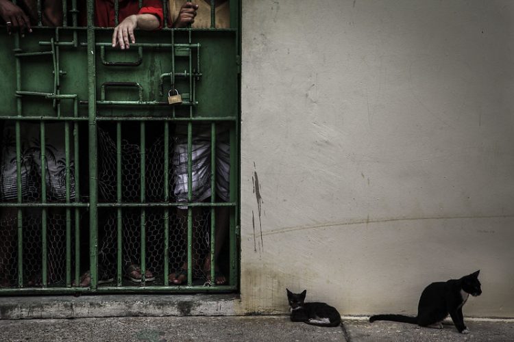 Complexo Penitenciário Anísio Jobim (COMPAJ), localizado na rodovia BR-174. Foto: Raphael Alves