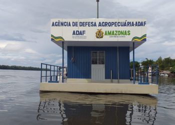 Divulgação/Adaf