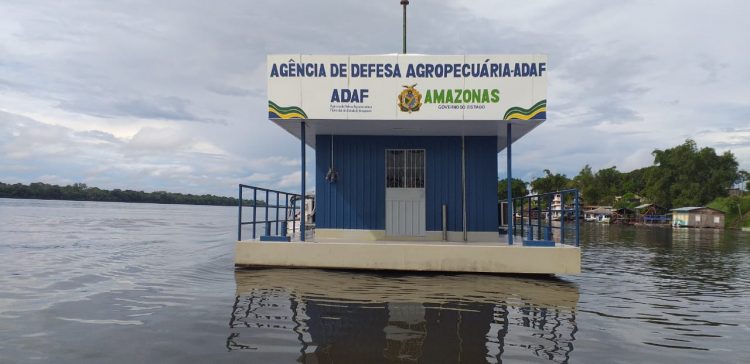 Divulgação/Adaf