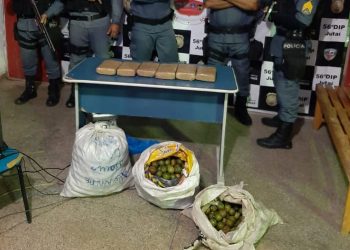 Polícia Militar do Amazonas - PMAM