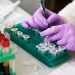 coronavírus teste em laboratório foto: PIXABAY/STOCK PHOTO