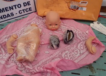 Foto / Divulgação