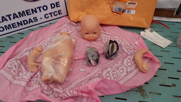 Foto / Divulgação