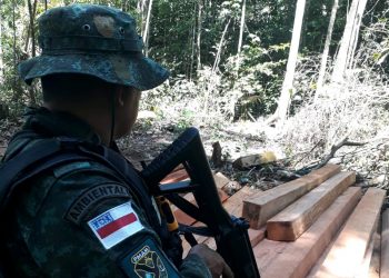 Fotos: Maycon Castro/Sema