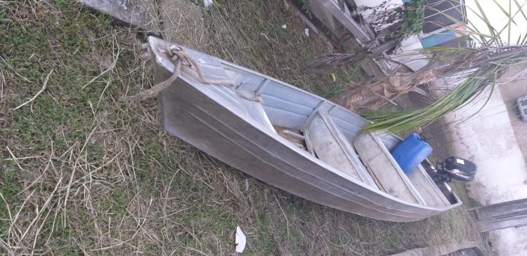 Pirataria
