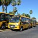 ônibus escolares