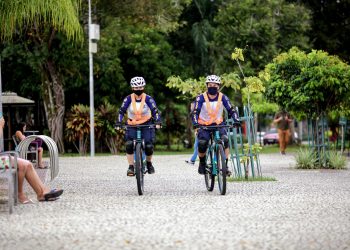 Ciclo Guarda