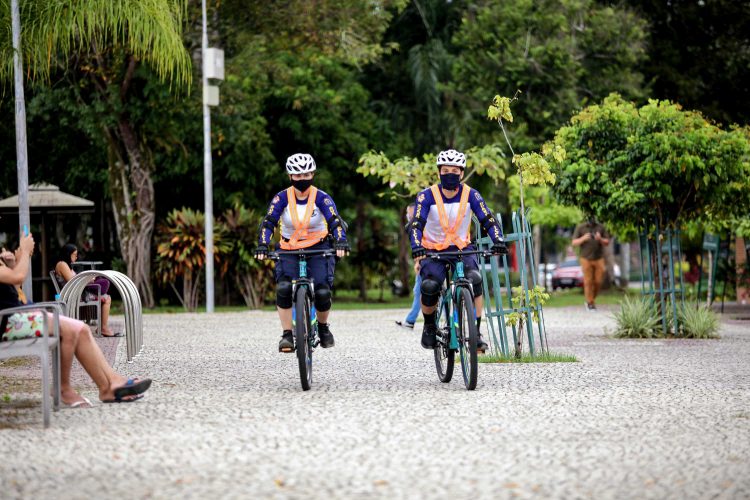 Ciclo Guarda