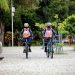 Ciclo Guarda