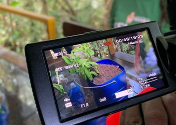 Foto: Divulgação / Semmas