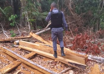 Foto: Divulgação/PMAM