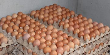 Ovos