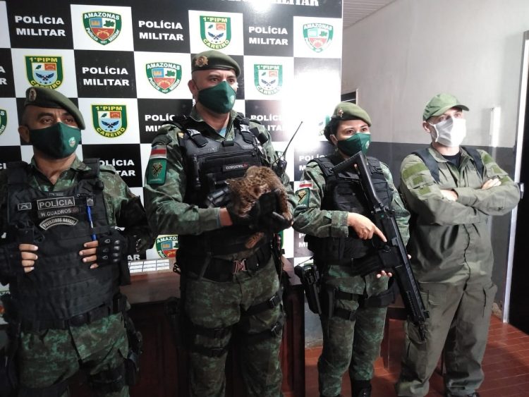 onça
