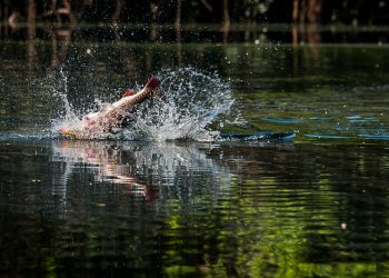 Fotos: Janailton Falcão/Clóvis Miranda