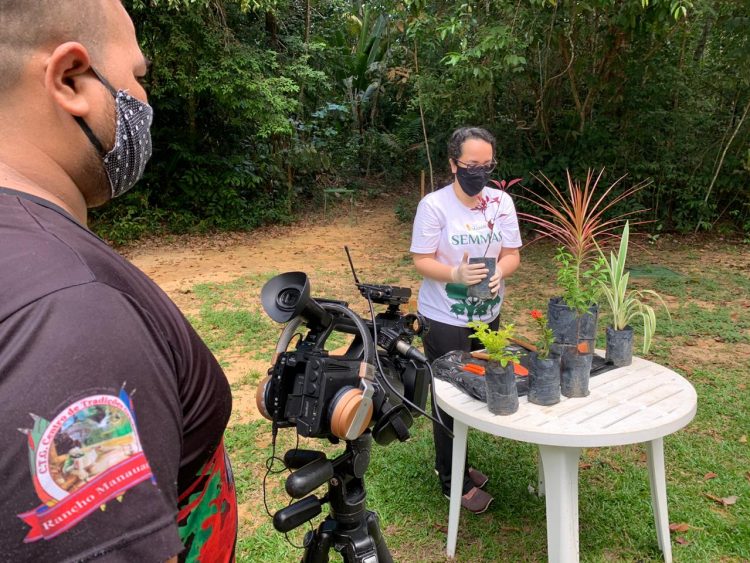 Jardinagem