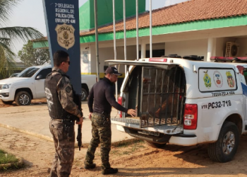 FOTOS: Divulgação/PC-AM