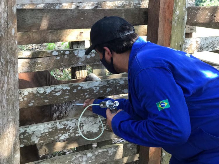 FOTOS: Divulgação/Adaf