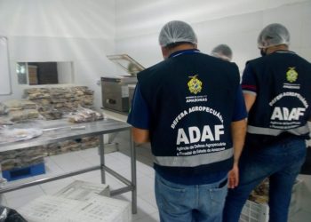 FOTOS: Divulgação/Adaf