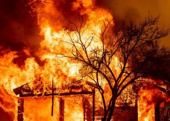 Incêndios nos EUA. Foto:  
Dubz Talk
@DubzTalk