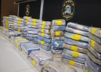 Foto: Alailson Santos/ PC–AM