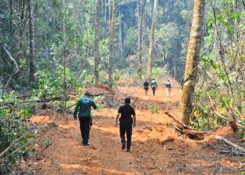 Fotos: Michell Mello/Secom