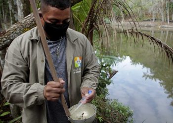 Monitoramento e eliminação de criadouros de mosquitos
Foto.Altemar Alcantara.Semcom