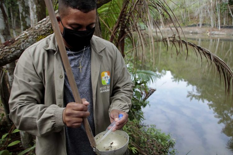 Monitoramento e eliminação de criadouros de mosquitos
Foto.Altemar Alcantara.Semcom
