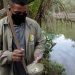 Monitoramento e eliminação de criadouros de mosquitos
Foto.Altemar Alcantara.Semcom