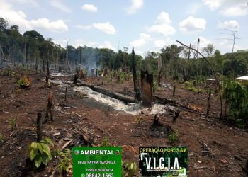 Foto: Divulgação/PMAM