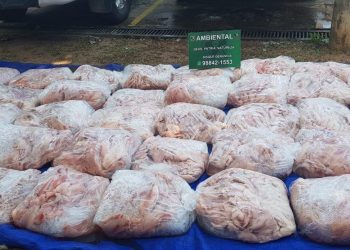 Foto: Divulgação/PMAM.