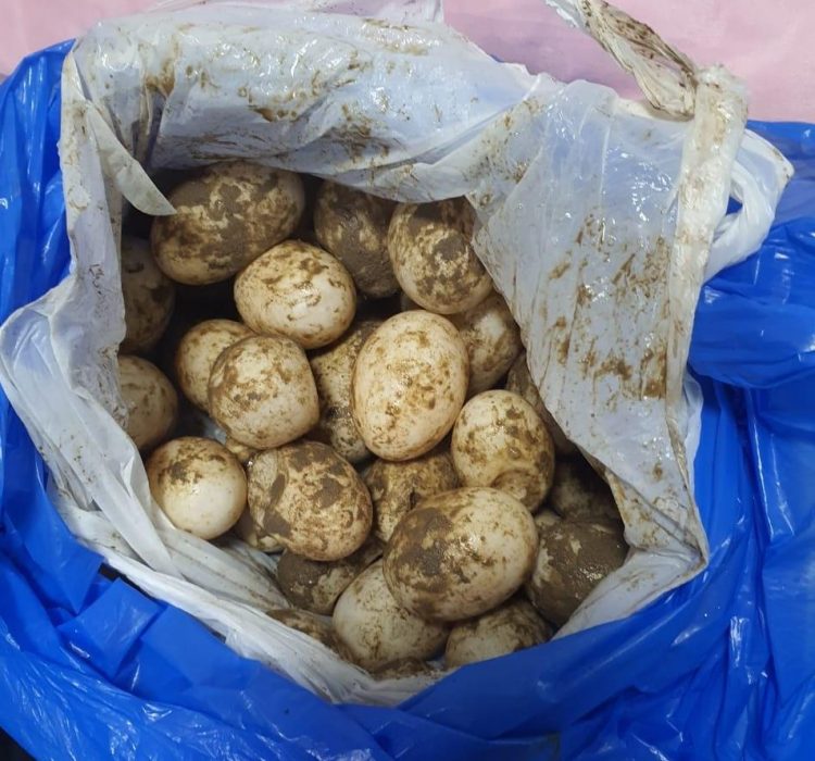 FOTOS: Divulgação/SSP-AM