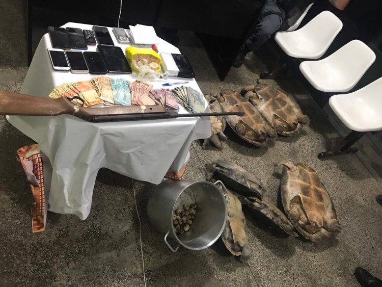 Fotos: Divulgação/PMAM